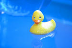 Rubber_Duck.jpg